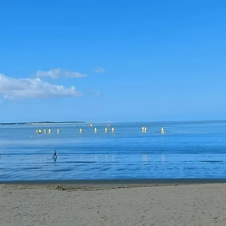 公寓 Cosy A 20 Metres De La Plage 鲁瓦扬