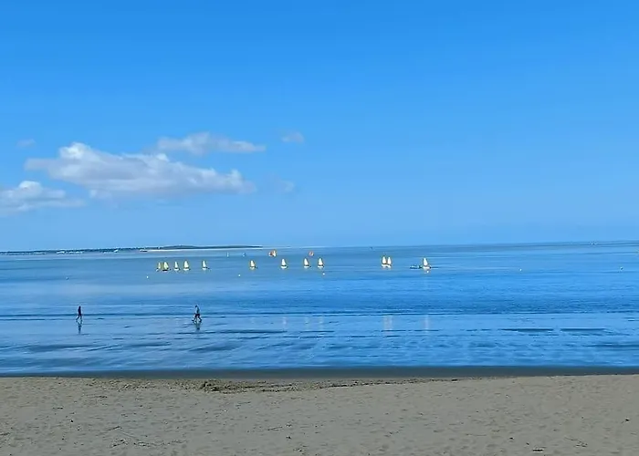 Apartment Cosy A 20 Metres De La Plage Royan