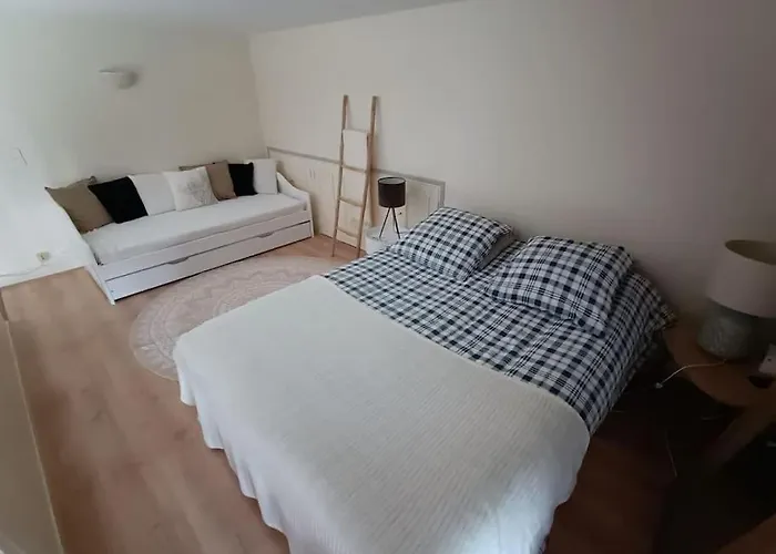 Cosy A 20 Metres De La Plage Royan